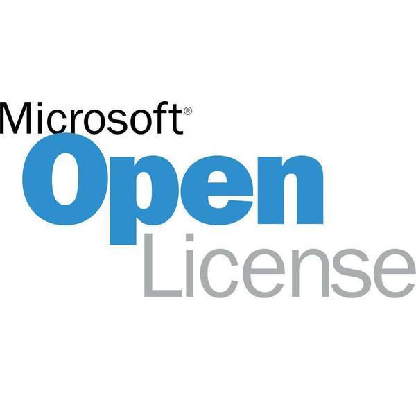 Microsoft Office 2019 Professional Plus Licencia abierta 1 licencia(s)