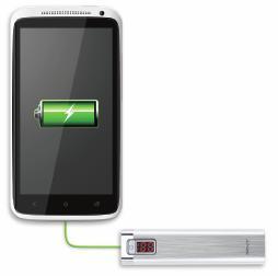 PNY PowerPack 5200