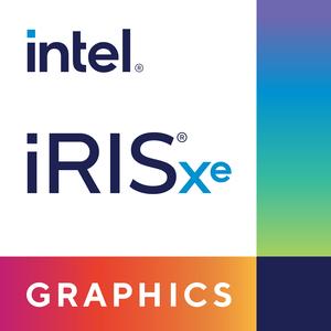 DELL XPS 13 9310 Computadora portátil 34 cm (13.4") Full HD+ Intel® Core™ i5 de 11ma Generación