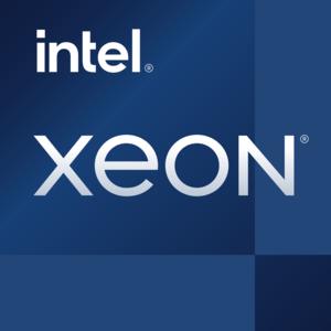DELL PowerEdge T150 servidor 1 TB Bastidor (4U) Intel Xeon E E-2324G 3.1 GHz 16 GB DDR4-SDRAM 300 W