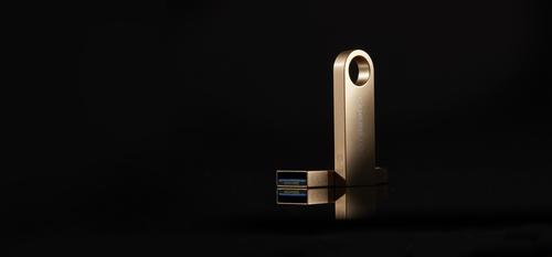 Kingston Technology DataTraveler SE9 G3 unidad flash USB 256 GB USB tipo A 3.2 Gen 1 (3.1 Gen 1) Oro