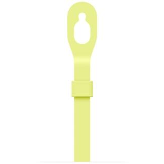 Apple iPod touch loop
