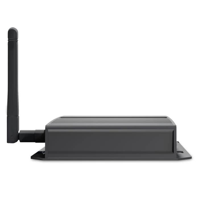Viewsonic NMP599-W-2 reproductor de multimedia digital Negro 4K Ultra HD 16 GB Wifi