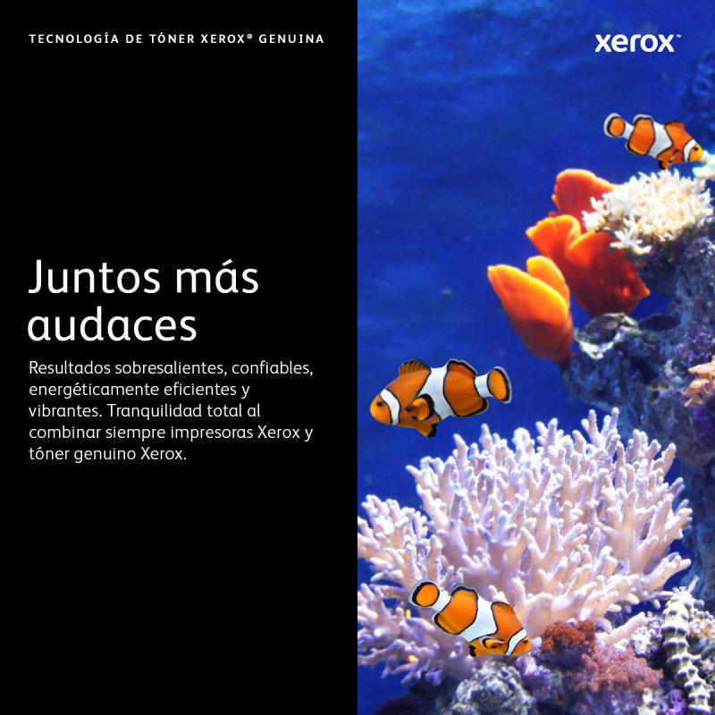 Xerox 006R04397 cartucho de tóner 1 pieza(s) Original Magenta