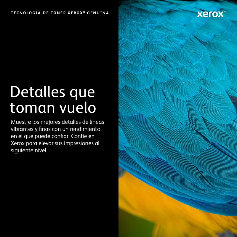 Xerox 006R04397 cartucho de tóner 1 pieza(s) Original Magenta