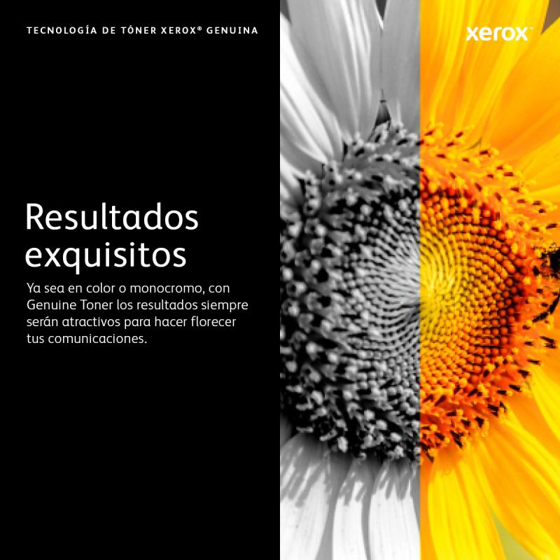 Xerox 006R04398 cartucho de tóner 1 pieza(s) Original Amarillo
