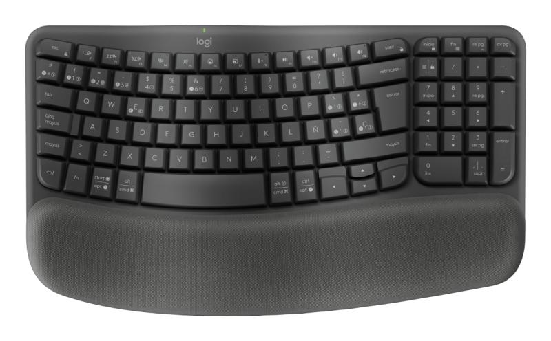 Teclado LOGITECH WAVE 920-012325 - 