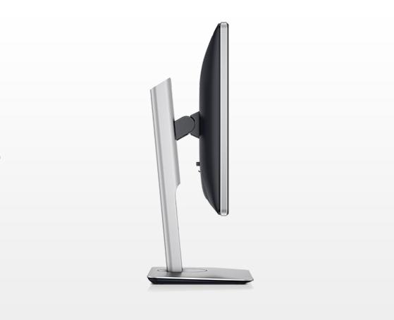 DELL Professional P2214H 21.5" Black Full HD