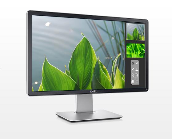 DELL Professional P2214H 21.5" Black Full HD