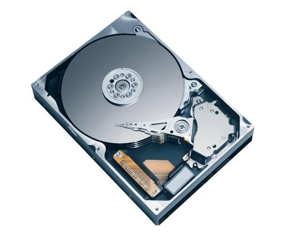 Hitachi Deskstar 1TB, SATA II, 7200 RPM