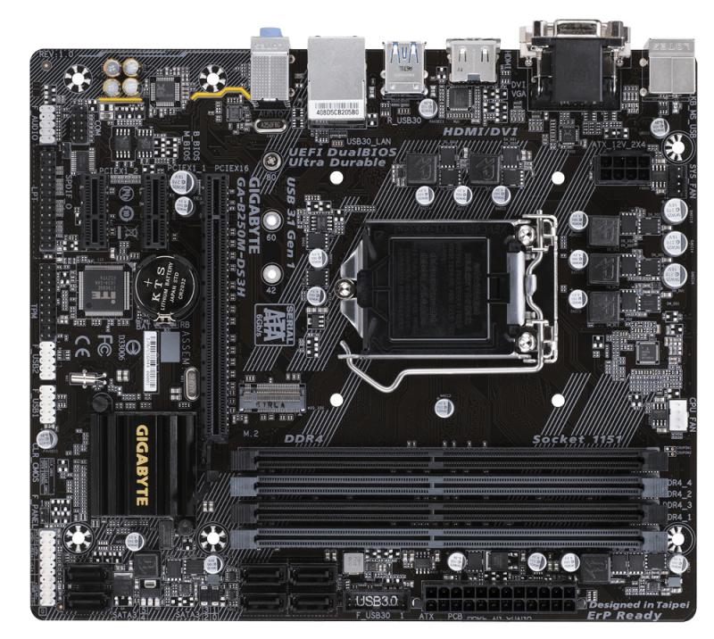 Gigabyte GA-B250M-DS3H Intel B250 LGA1151 ATX tarjeta madre