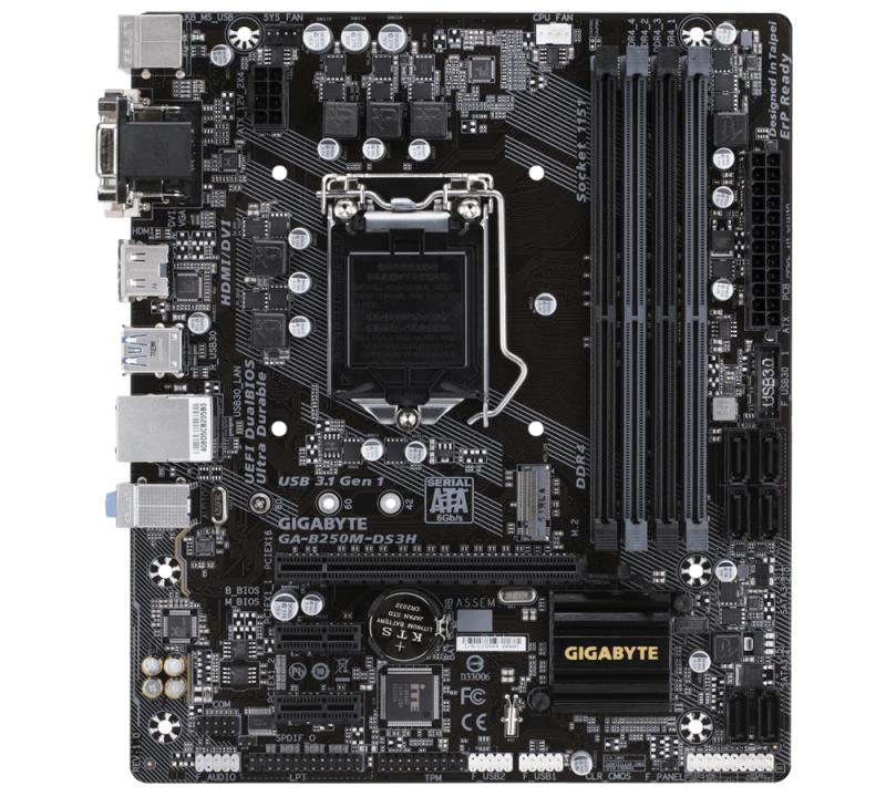 Gigabyte GA-B250M-DS3H Intel B250 LGA1151 ATX tarjeta madre