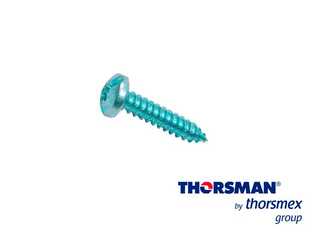 TORNILLO THORSMAN 10X1/2 CAB MIXTA 1392-00206 1000PIEZAS