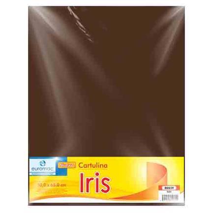 CARTULINA EUROMAC IRIS CAFE 50X65CM C/10 EI0039