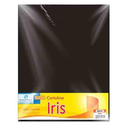 CARTULINA EUROMAC IRIS NEGRO 50X65CM C/10 EI0042