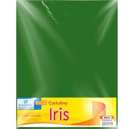 CARTULINA EUROMAC IRIS VDE BANDERA 50X65 C/10 EI0045