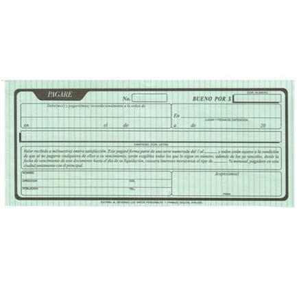 PAGARE RAYTER 1/3 T/C VERDE OPTICO C/50 HOJAS 2X1 08PA