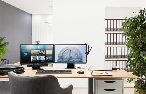 HP 2013 UltraSlim Docking Station Negro