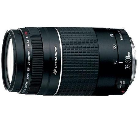 Canon EF 75-300mm f/4-5.6 III USM