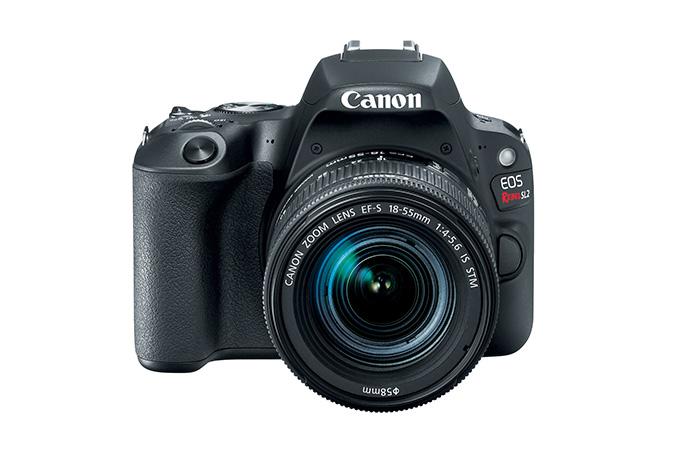 Canon EOS Rebel SL2 + EF-S 18-55mm f/4-5.6 Juego de cámara SLR 24.2MP CMOS 6000 x 4000Pixeles Negro