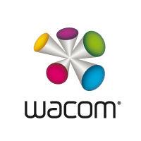 WACOM INTUOS PRO PEN AND TOUCH SMALL WIRELESS PTH451L